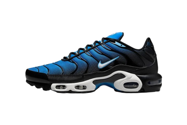Nike Air Max Plus Blue & Black