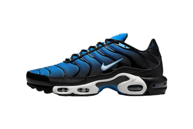 Nike Air Max Plus Blue & Black